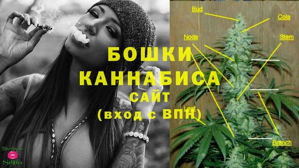 ECSTASY Новодвинск