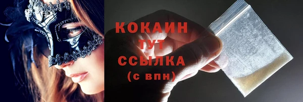 ECSTASY Новодвинск