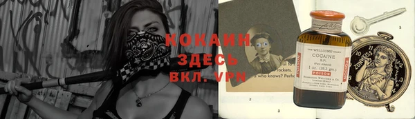 ECSTASY Новодвинск