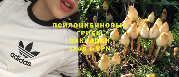 ECSTASY Новодвинск