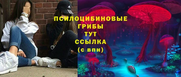 jwh Новозыбков
