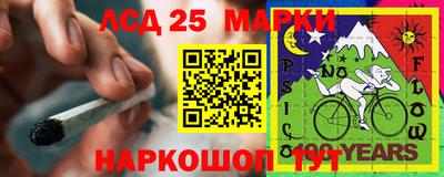 МДПВ Можга