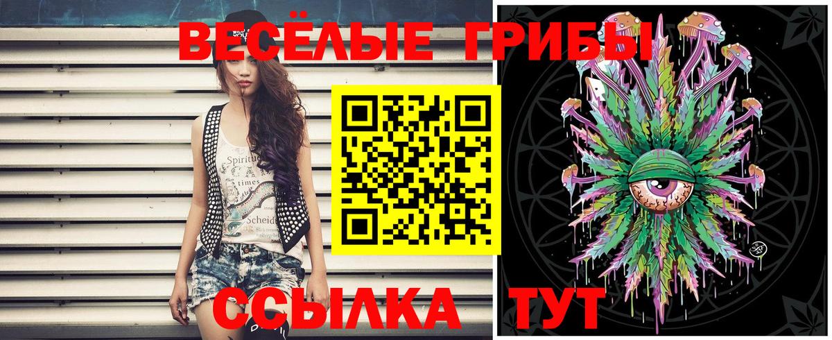 Псилоцибиновые грибы Psilocybe Тында