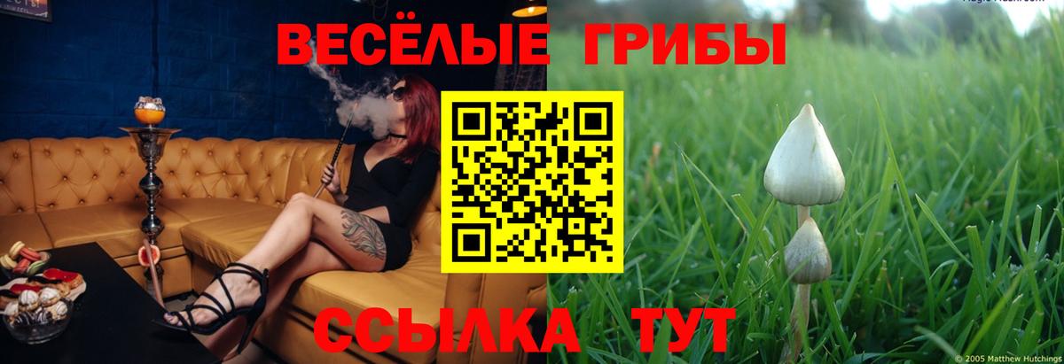Тында  Галлюциногенные грибы MAGIC MUSHROOMS  Галлюциногенные грибы Cubensis  Вход с VPN 
